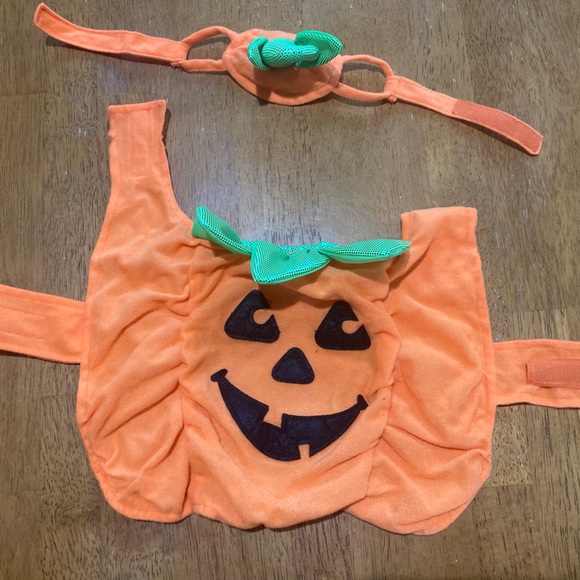 BUNDLE: 3 Different Pet Costumes - X SM Pet Halloween Costumes (3 count) - Picture 3 of 6